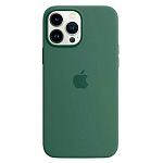 Чохол Silicone Case з MagSafe для Apple iPhone 13 Pro (6.1) (Eucalyptus) ААА