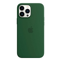 Чехол Silicone Case с MagSafe для Apple iPhone 13 Pro Max (6.7) (Eucalyptus) ААА