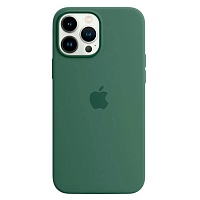 Чехол Silicone Case с MagSafe для Apple iPhone 13 Pro (6.1) (Eucalyptus) ААА Чехол Silicone Case с MagSafe для Apple iPhone 13 Pro (6.1) (Eucalyptus) ААА