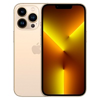 Смартфон Apple iPhone 13 Pro 1TB Gold (MLVY3)